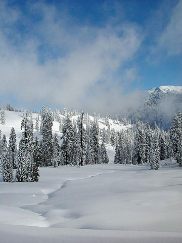 Lassen National Park 02