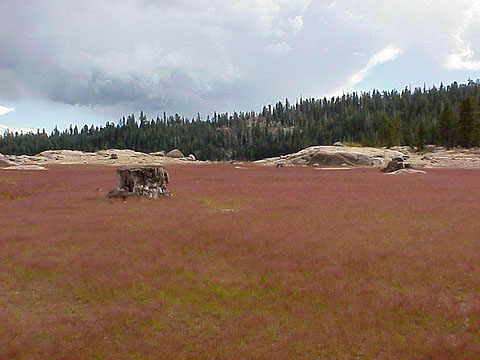 Lower Blue Lake 02