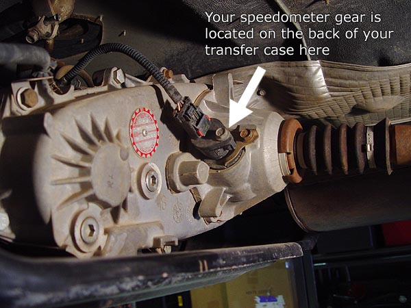 Your speedometer gear is located on the back of your transfer case as shown Your speedometer gear is located on the back of your transfer case as shown