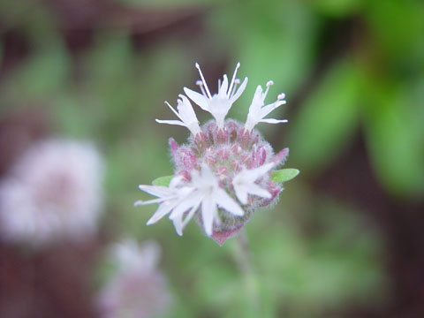 DSC01864