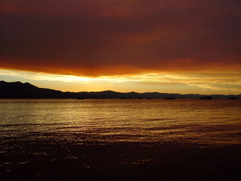DSC01882