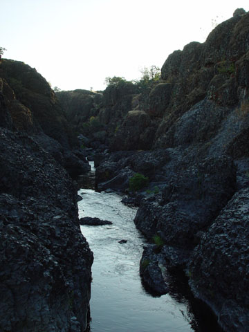 DSC01898