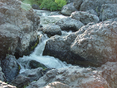 DSC01903
