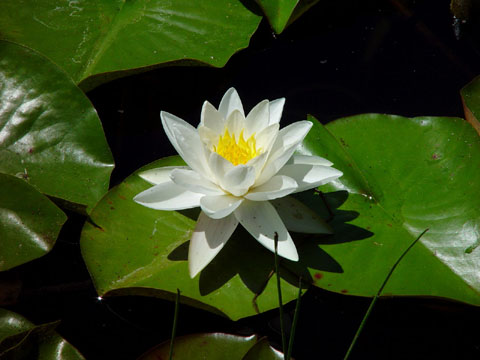 DSC01905
