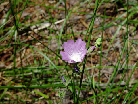 DSC01907