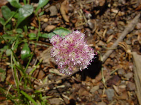 DSC01913