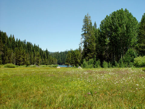 DSC01915