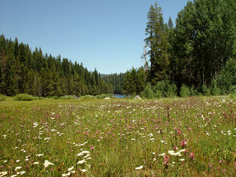 DSC01918