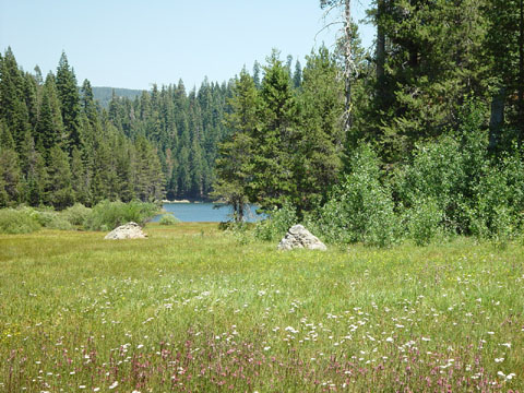 DSC01919
