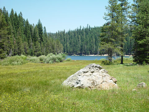DSC01923