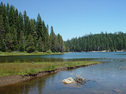 DSC01929