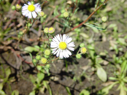 DSC01932