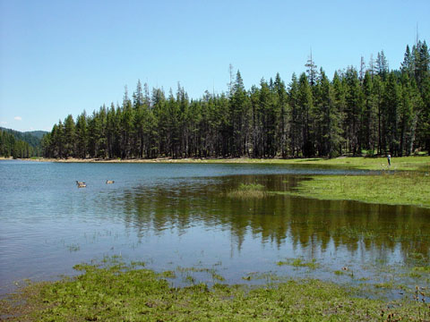 DSC01937
