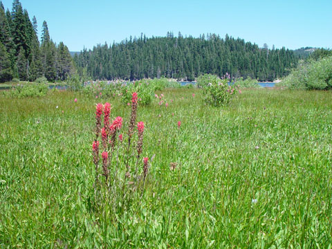 DSC01941