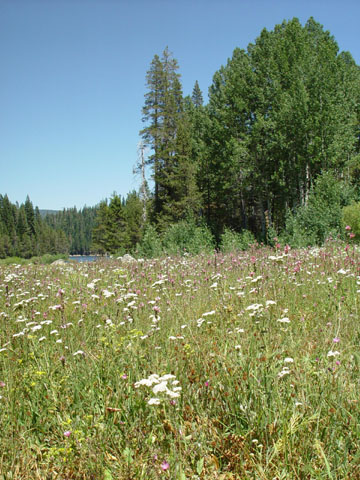 DSC01945