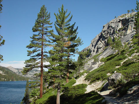 DSC01950