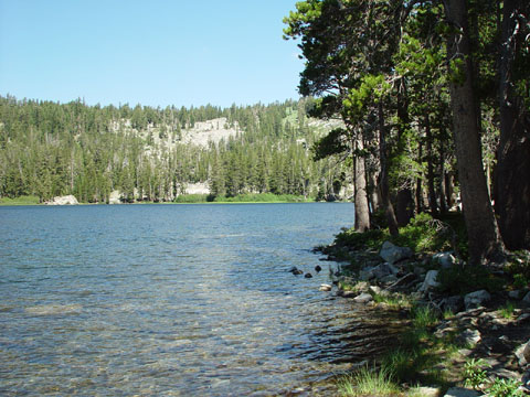 DSC01964