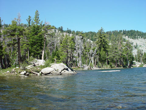 DSC01968