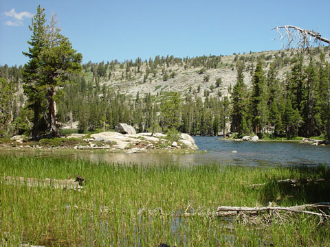 DSC01969