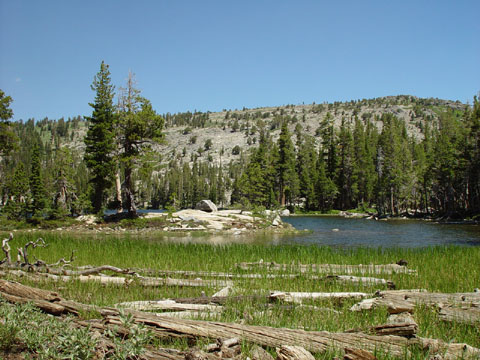 DSC01971