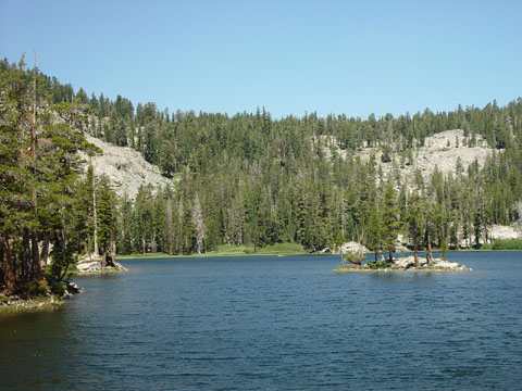DSC01973