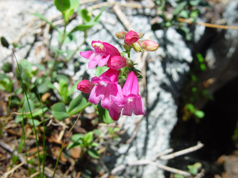 DSC01980