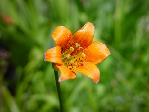 DSC01986