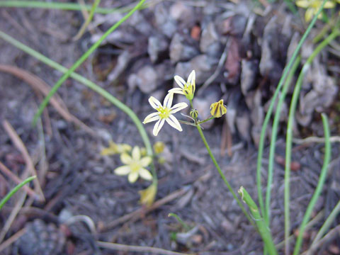DSC01987