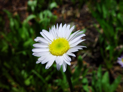 DSC01988