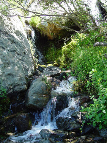 DSC01995