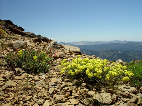 DSC02006