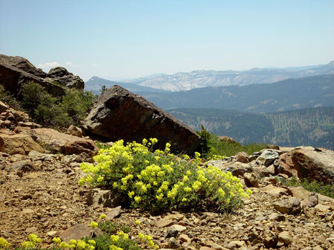 DSC02007