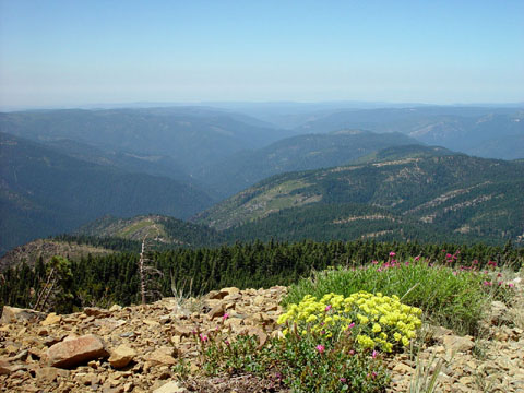 DSC02008