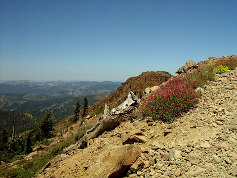 DSC02009