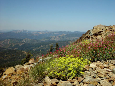 DSC02010