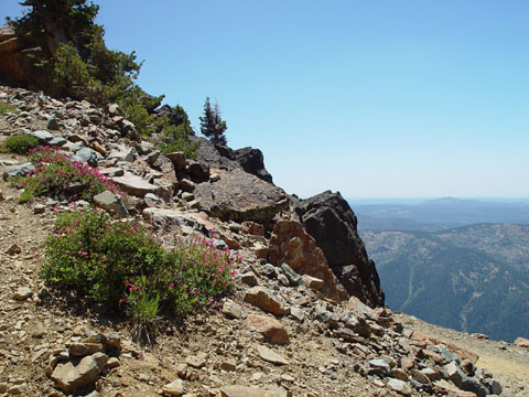 DSC02013