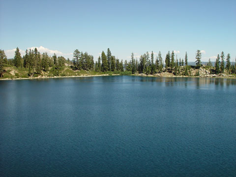 DSC02050
