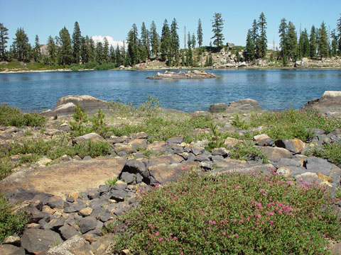 DSC02052