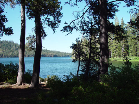 DSC02061